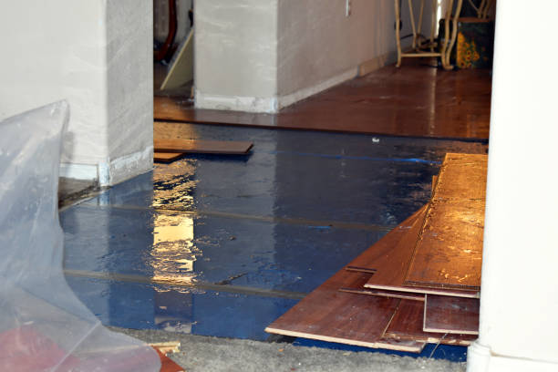 Professional Water Damage Restoration technician working in Browns Mills, NJ